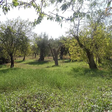 Villa Terra Di Eloro Noto Zimmer foto