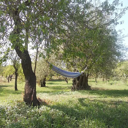 Villa Terra Di Eloro Noto Zimmer foto