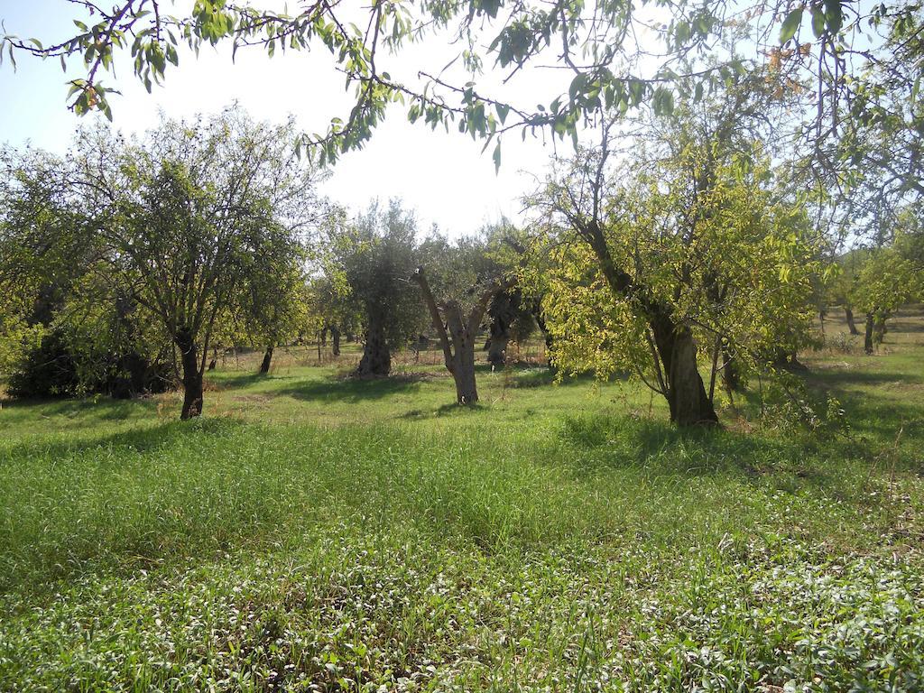 Holiday home Terra Di Eloro *