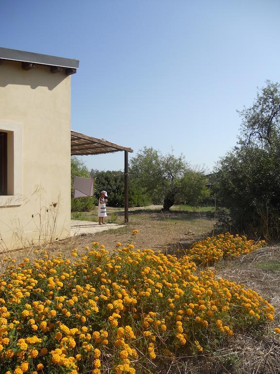 Terra Di Eloro Noto