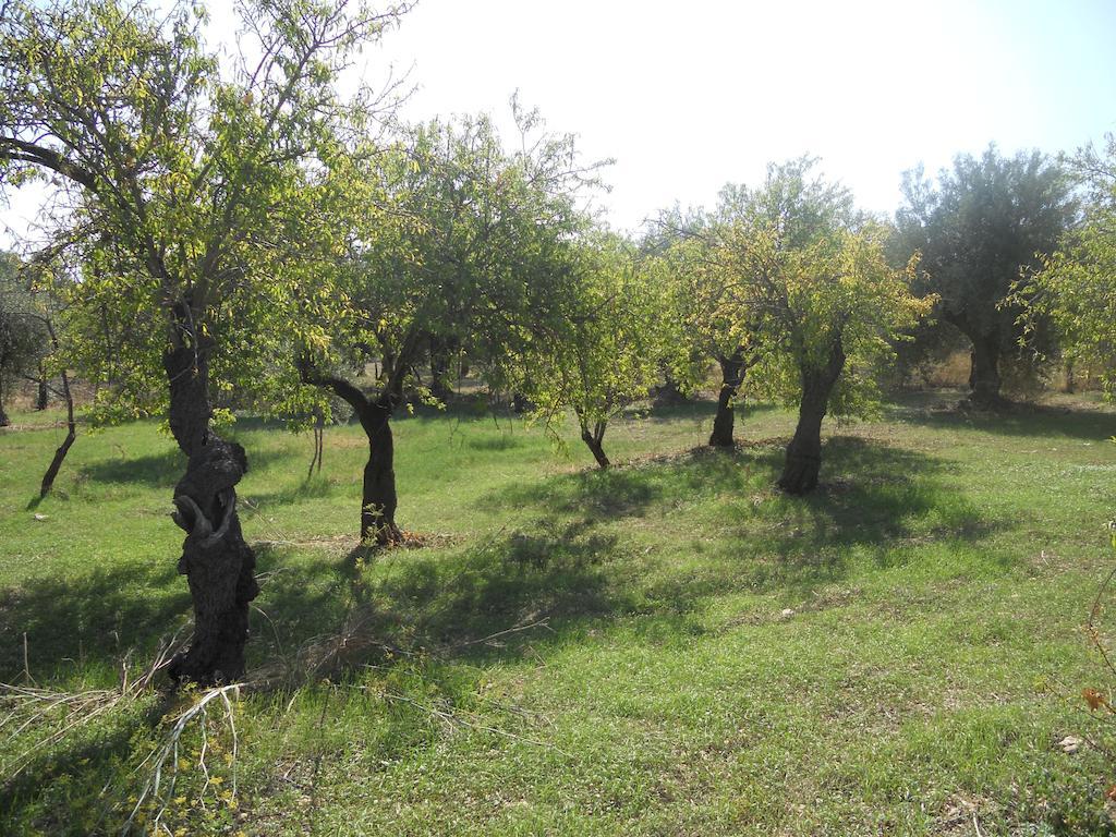 Terra Di Eloro