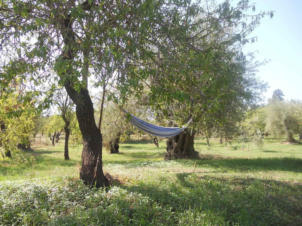 Holiday home Terra Di Eloro *